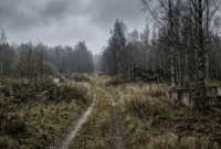 Kyshtym disaster site showing an abandoned Soviet village overgrown with grass and ruins